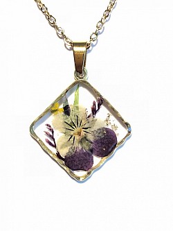 fleurs séchées N°7