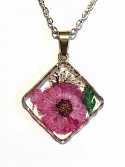 fleurs séchées N°8