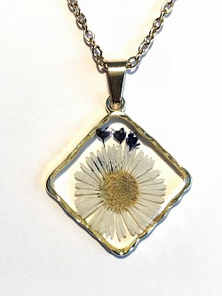 fleurs séchées N°11