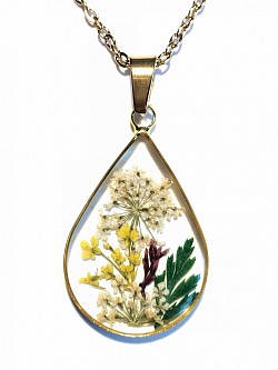 fleurs séchées N°14