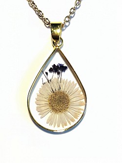 fleurs séchées N°15