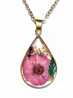 fleurs séchées N°16